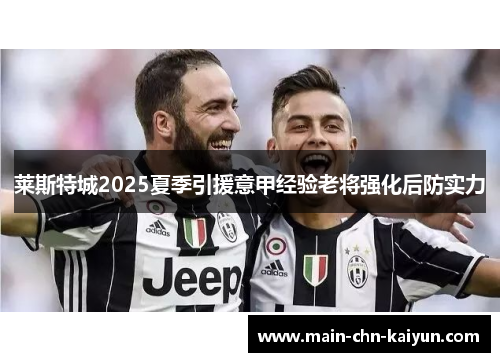 莱斯特城2025夏季引援意甲经验老将强化后防实力 莱斯特城2025夏季引援意甲经验老将强化后防实力